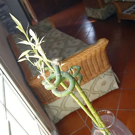 Hotel Regina Ferrara